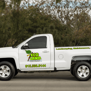 Custom vinyl graphics